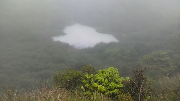 【臺北大縱走3】雨霧迷茫的絹絲瀑布、擎天崗、冷擎步道、冷水坑