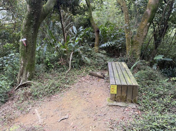 [微笑山線_第四段] 2026_0321 天上山系_十八羅漢岩3022118