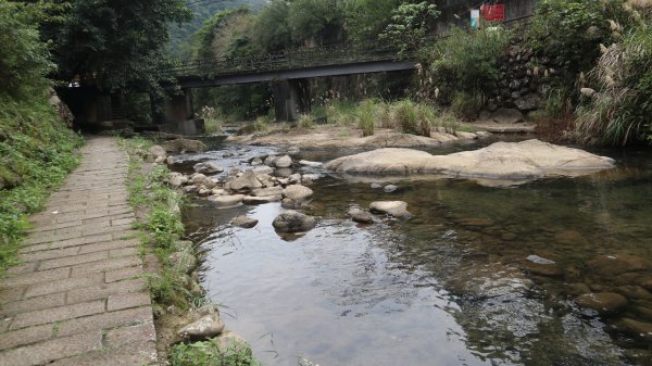獵貍尖步道連走烏塗溪步道登山健行趣(淡蘭南路TK3-6&TK3-5&TK3-4)2404545