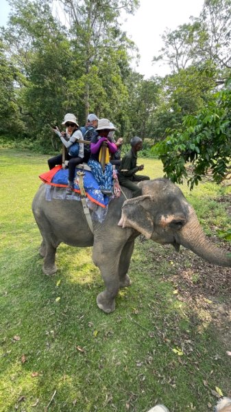 尼泊爾奇旺國家公園4天三夜2788896