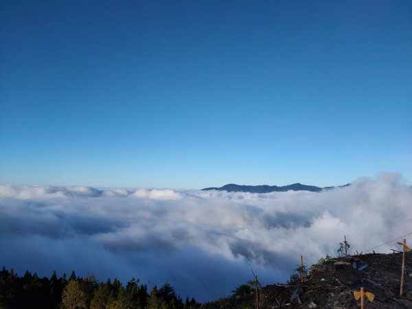 觀霧雲海山林之美2923638