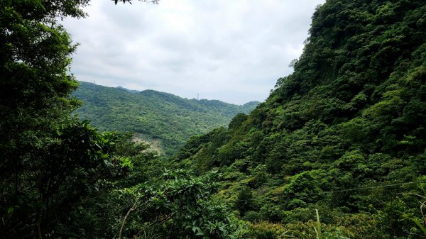 劍龍稜，小粗坑古道，萬壽山，長壽嶺步道，風尾步道，鼎筆橋步道，陽峰古道，康寧步道，惠安公園1768599