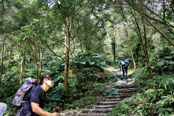 聖母峰 x 三角崙山 x 聖母山莊492990