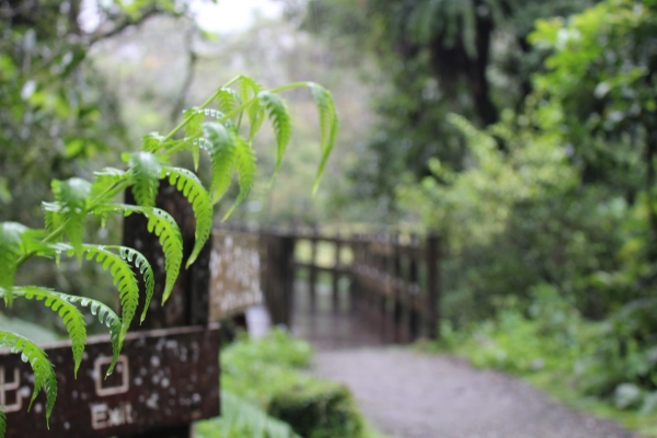 福山植物園77331