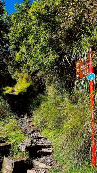 🌈百岳~玉山前峰 ✨FB：熊熊趴爬走 🌈2886327