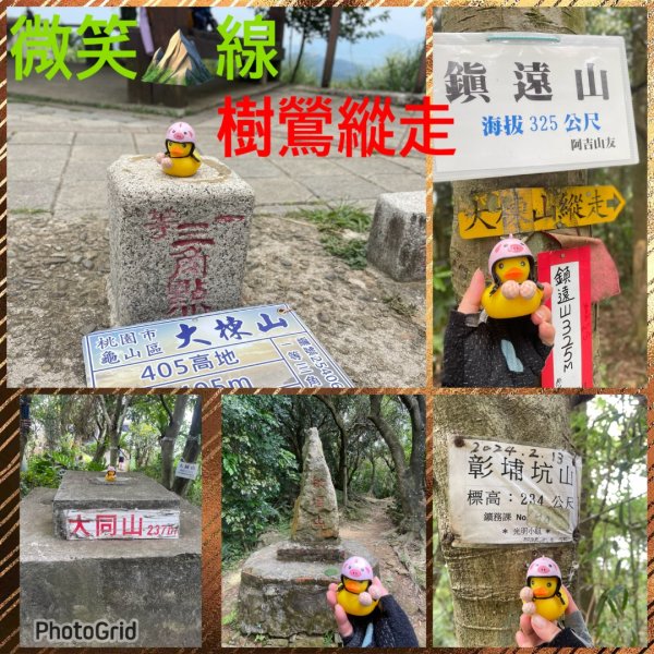 微笑山⛰️線-大棟-二格山-五分山-天上山-鳶山💎12條步道完成💙2834089
