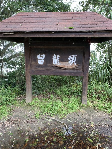 202060718南投嶺頭山3090448