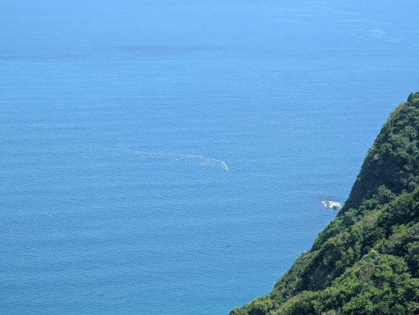 2025.09.13－情人湖步道&大武崙山2885839