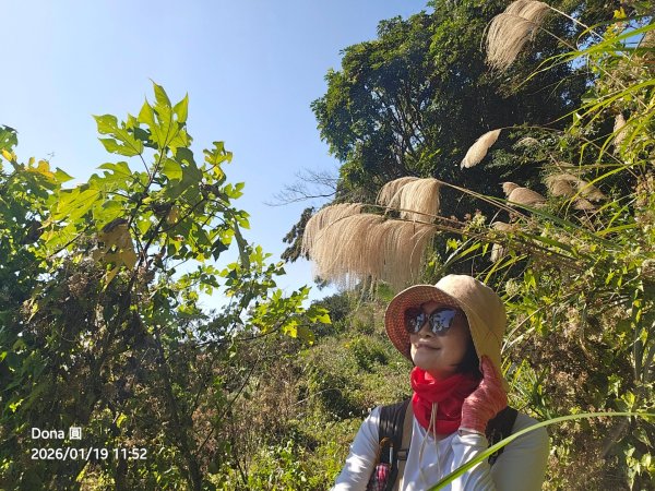 20260119飛沙縱走東段加碼9連峰大O走2988932