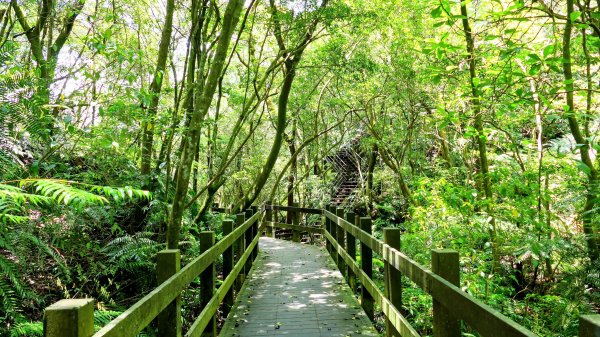 內雙溪自然中心2808694