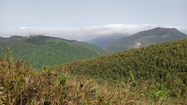 【臺北大縱走 2】【台北-臺灣百大必訪步道】視野遼闊的大屯山主峰，風景秀麗的頂湖海芋步道、水車寮步道1340321