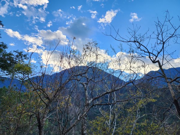 谷關七雄⛰波津加山2407176