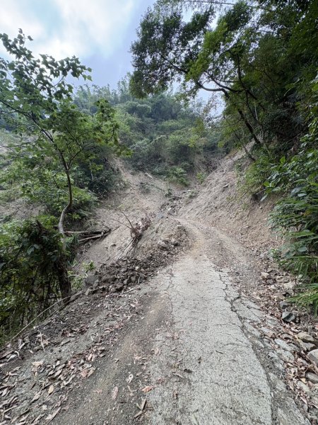 20251108白雲山步道2935182