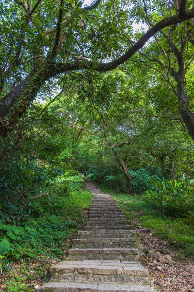 [新北]汐止大尖山2906095