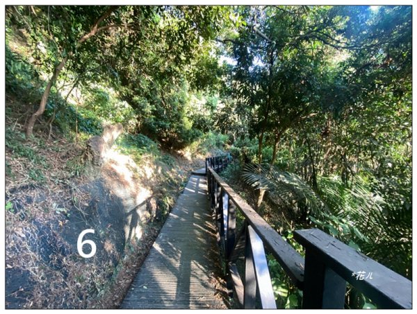 軍功寮山、大坑9、7、6、9-1步道 O型一圈2950826
