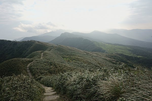 灣坑頭山 桃源谷步道 連走2034859