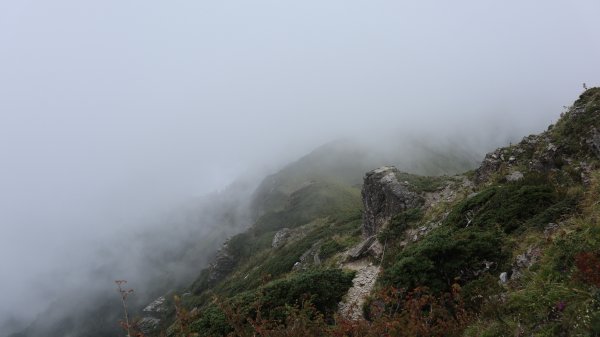 奇萊主山登山健行趣(百岳20號)2289988