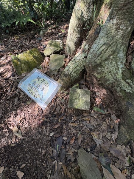 20251116鳴海山、網子山登山步道2938402