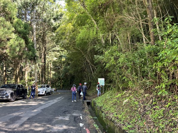 [山頂鳥40周年會員大縱走-06/15] 2024_0707 長壽山(肥崠山)山徑2546464