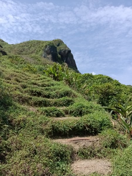 瑞芳區海園古道+鼻頭山稜+門牙岩O型2768340