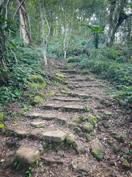 馬那邦山的雲海季2650894