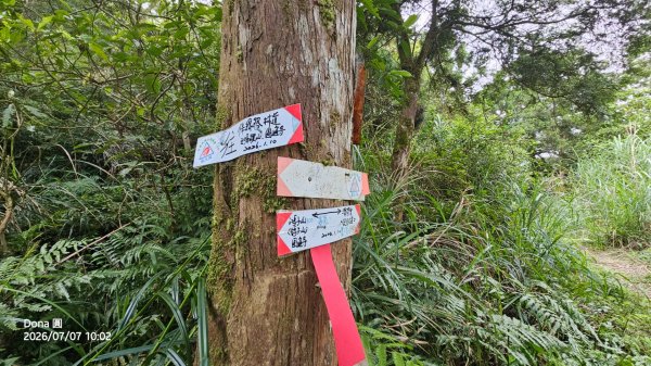 宜蘭小百岳鵲子山O走3083275