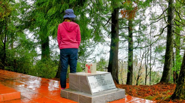 《青玉案・福壽山櫻》2712374