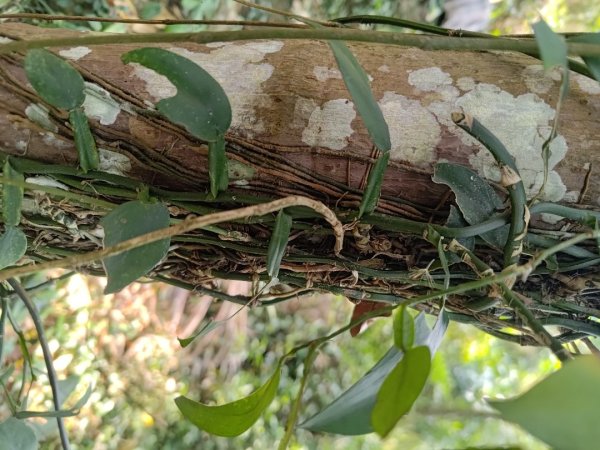 塘湖古道塘湖山甕缸潭2454276