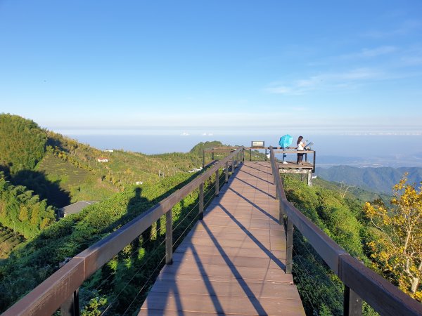 大崙山、樟空崙山與銀杏森林1562459