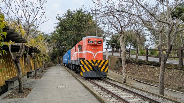 貓貍山.協雲宮,青青草原2701143