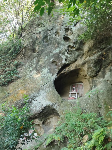 微笑山線：【大棟山系】百年大榕樹段2868474