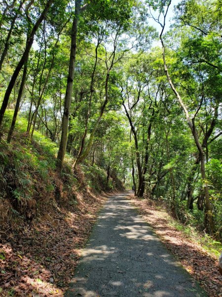 【彰化 | 橫山】975455