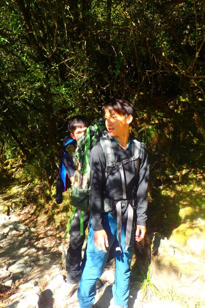 登峰造極--2018玉山主峰532647