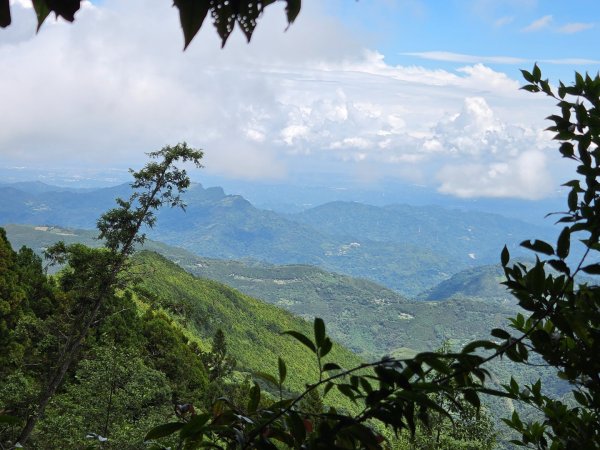 【中級山】麥巴來山，夢幻杉木林3089261