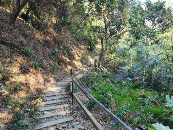 南觀音山步道（小百岳）1259897