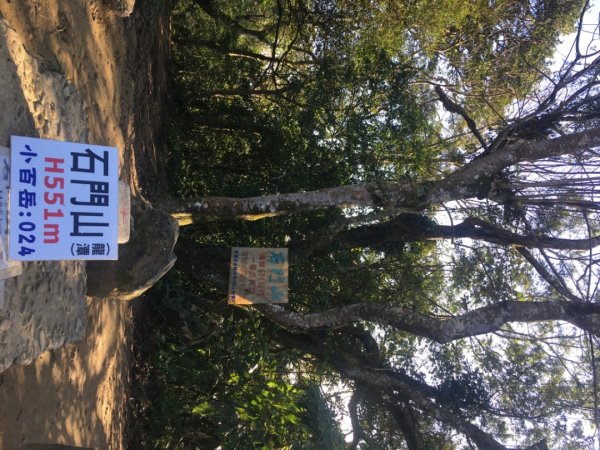 梅花撲鼻香2686605