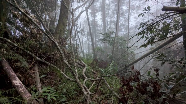 集集大山步道2886270