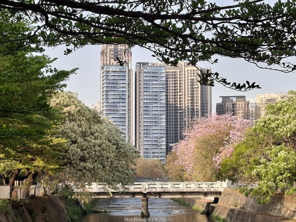 《台中》粉紅浪漫｜潮洋環保公園河岸步道202602-033022454