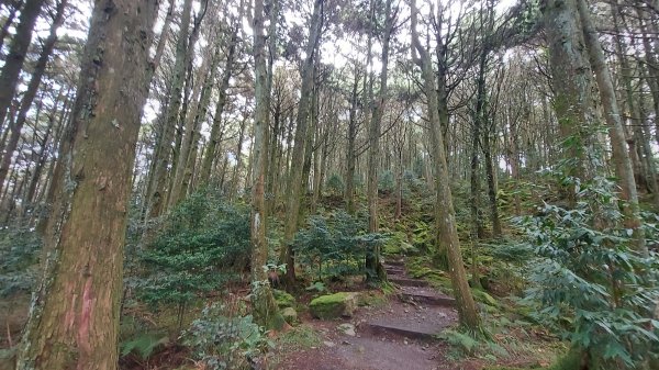 小雪山 船形 鞍馬 天池 啞口O型 1142103