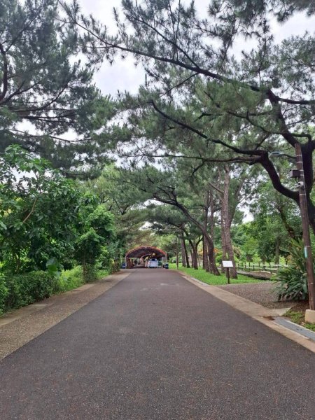 宵裡好風光相簿活動2826150