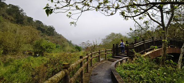 獅潭觀魚步道+潭老街-2026/03/293026416
