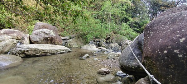 2025/04/04_加里山登山步道2755025
