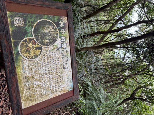 2025/04/13 小百岳第008「大崙頭山」2760257