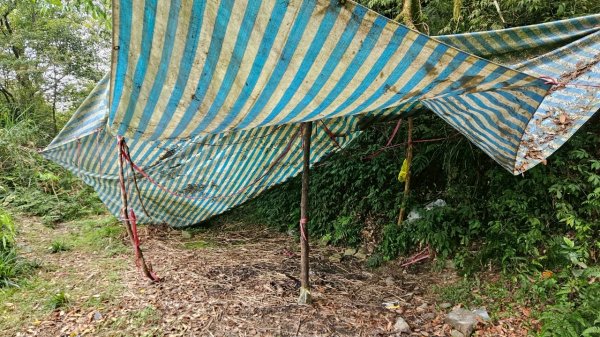 20250420古魯古道-大元山-大元國小2767383