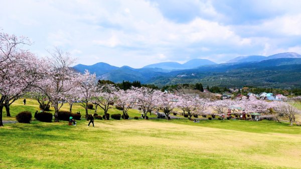 鹿兒島高千穗牧場3028182