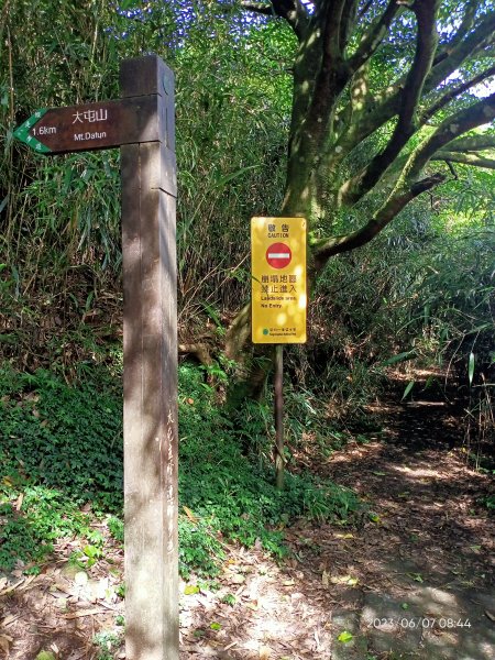 鞍部→大屯山北、主、南、西峰連走→面天坪→清天宮【走遍陽明山】2176958