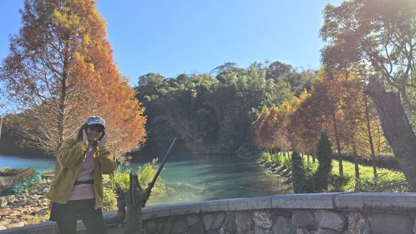 中部最美的落羽松，最美的自行車道，向山遊客中心的落羽松，最迷人的時候，美的不可思議，彷彿置身在潑墨畫2685345