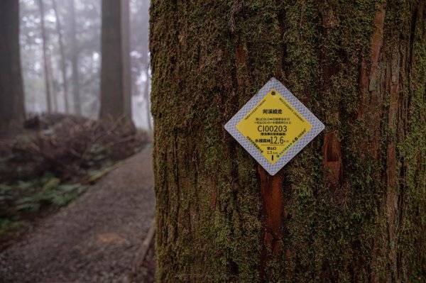 眠鐵隧道，日月靜好2970147