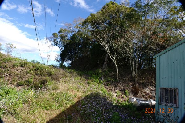 南投 仁愛 巴蘭山、關頭山、高峰山1567687