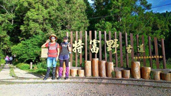 特富野、兒玉山、東水山、北霞山、一次滿足1005761